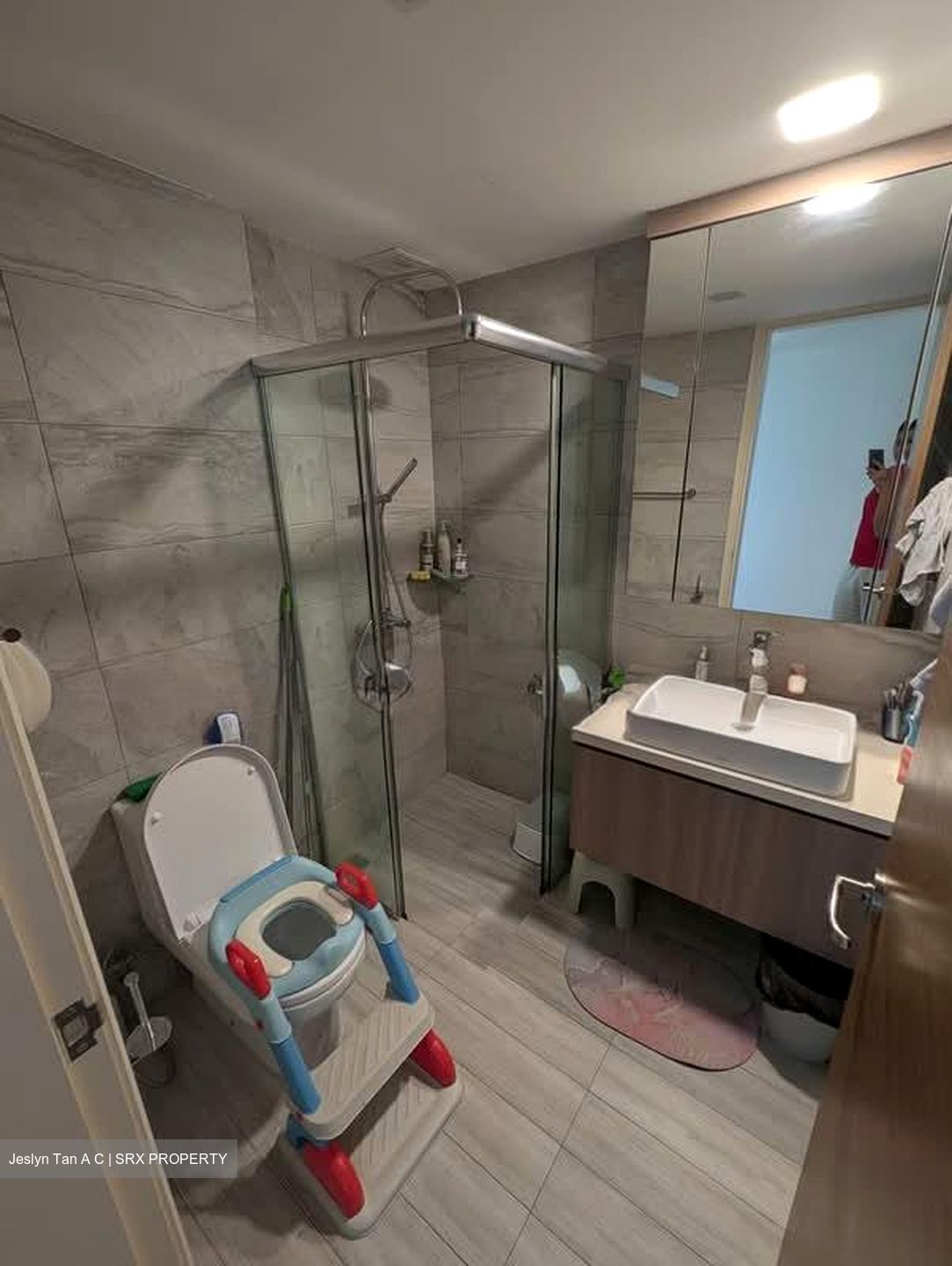 Dahlia Park Condominium (D17), Condominium #587711491